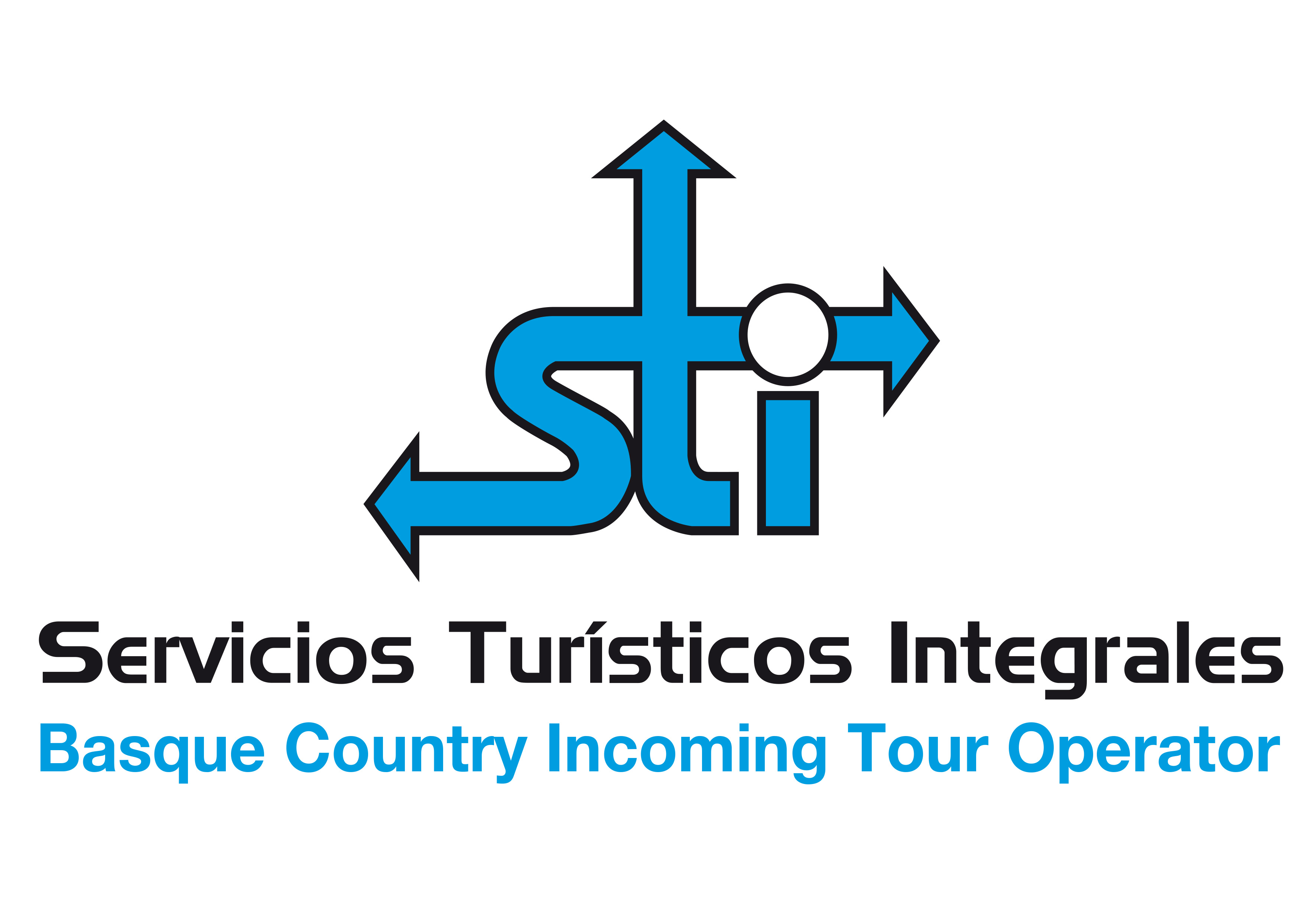 S.T.I- BASQUE COUNTRY DMC-TTOO logo